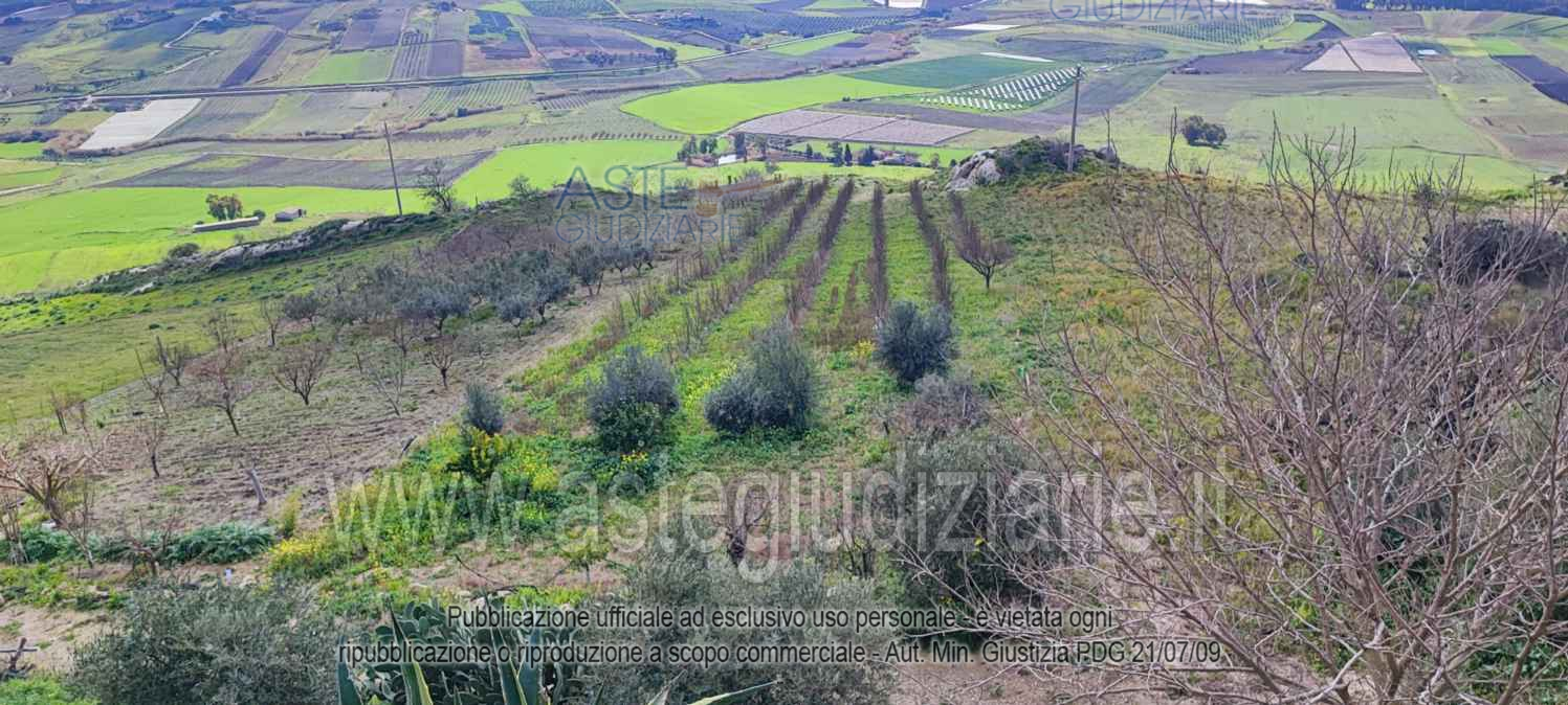 Photo: Altra categoria in Naro (AG)