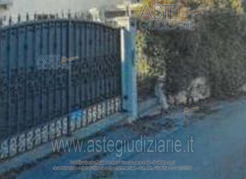 Foto del lotto: Altra categoria a Carpeneto