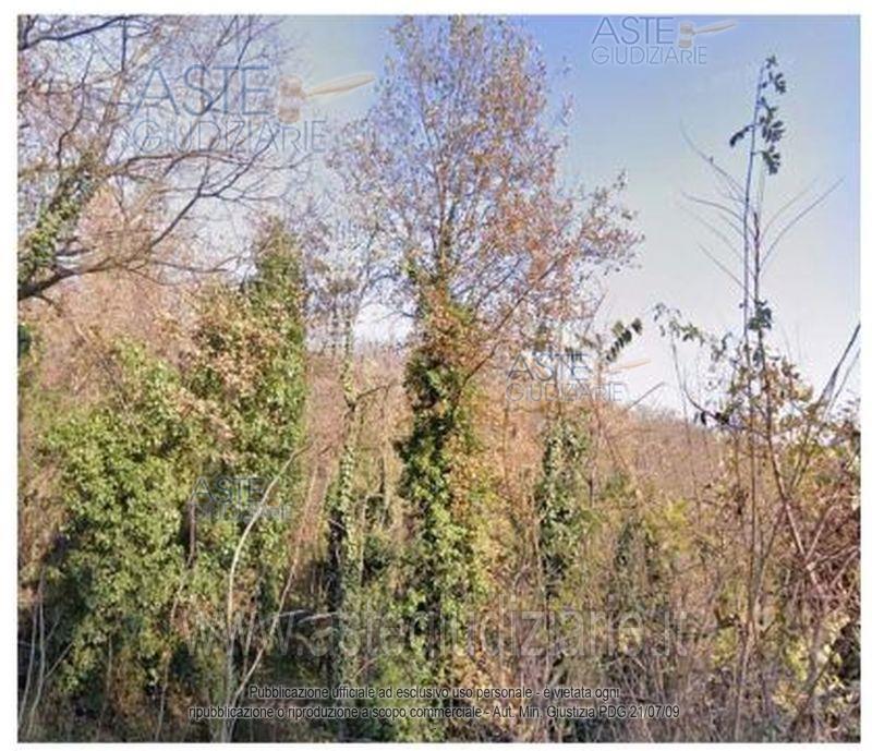 Foto: Altra categoria a Castagnole Monferrato (AT)