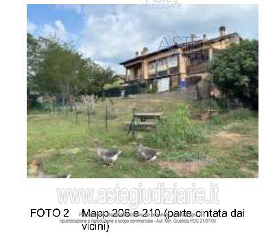 Foto: Altra categoria a Desenzano del Garda (BS)