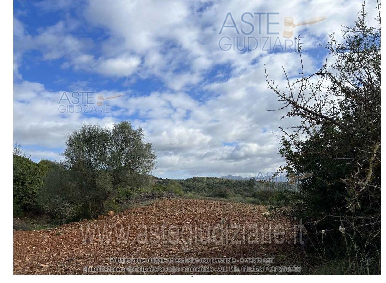 Foto: Altra categoria a Narcao (CI)