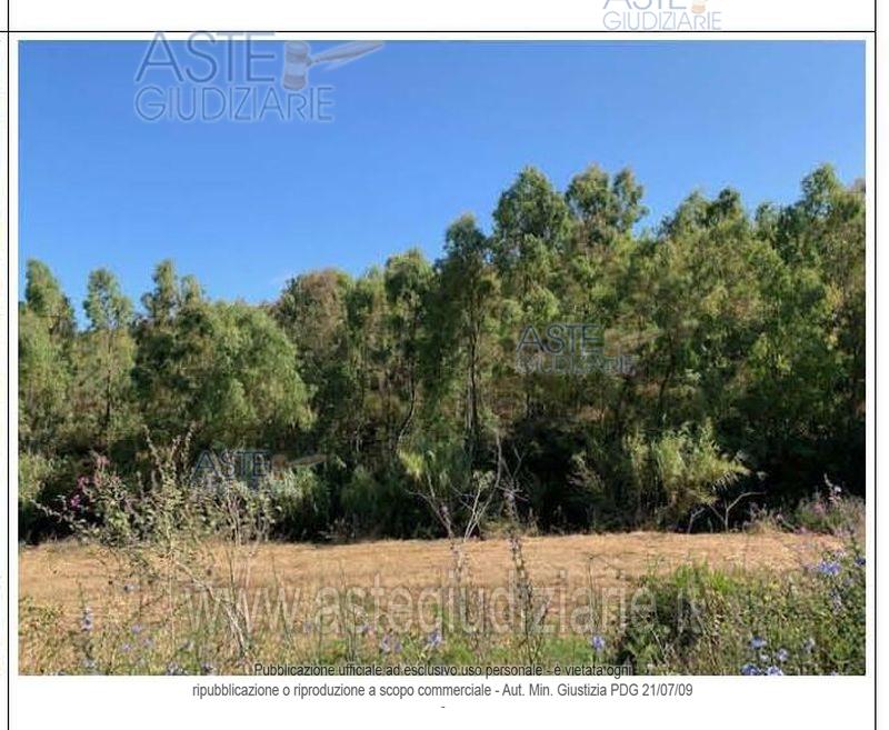 Foto del lotto: Altra categoria a Carbonia