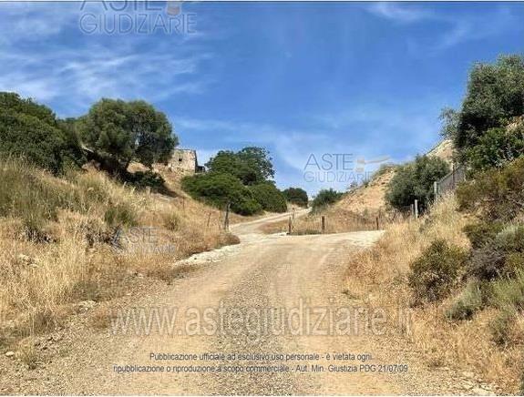 Photo: Altra categoria in Dolianova (CA)