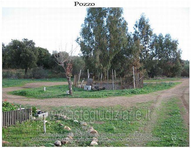 Foto del lotto: Altra categoria a Pula