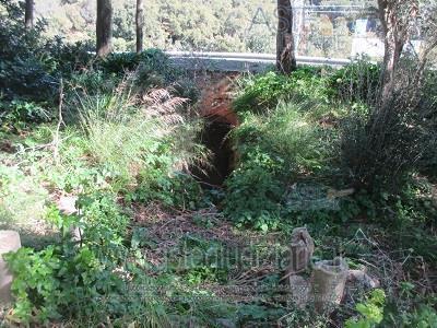 Foto: Altra categoria a Fluminimaggiore (SU)