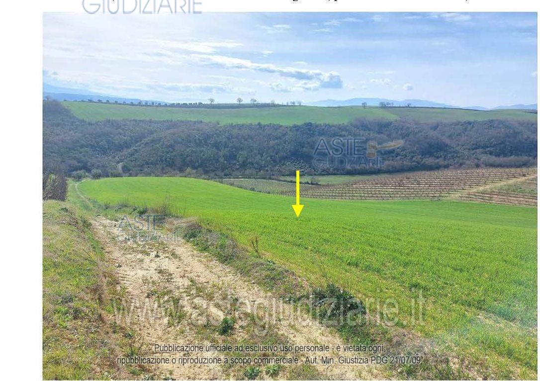 Foto del lotto: Altra categoria a Altomonte