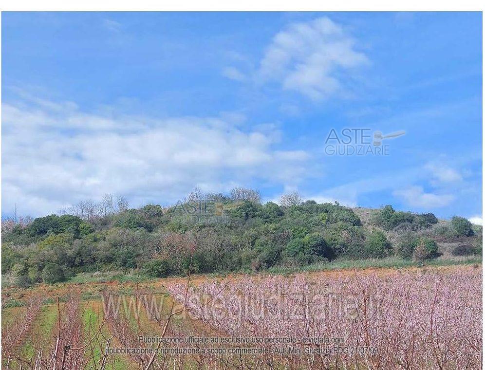 Foto del lotto: Altra categoria a Altomonte