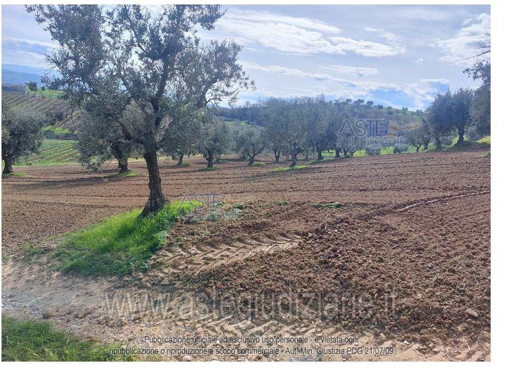 Photo of the lot: Altra categoria in Altomonte
