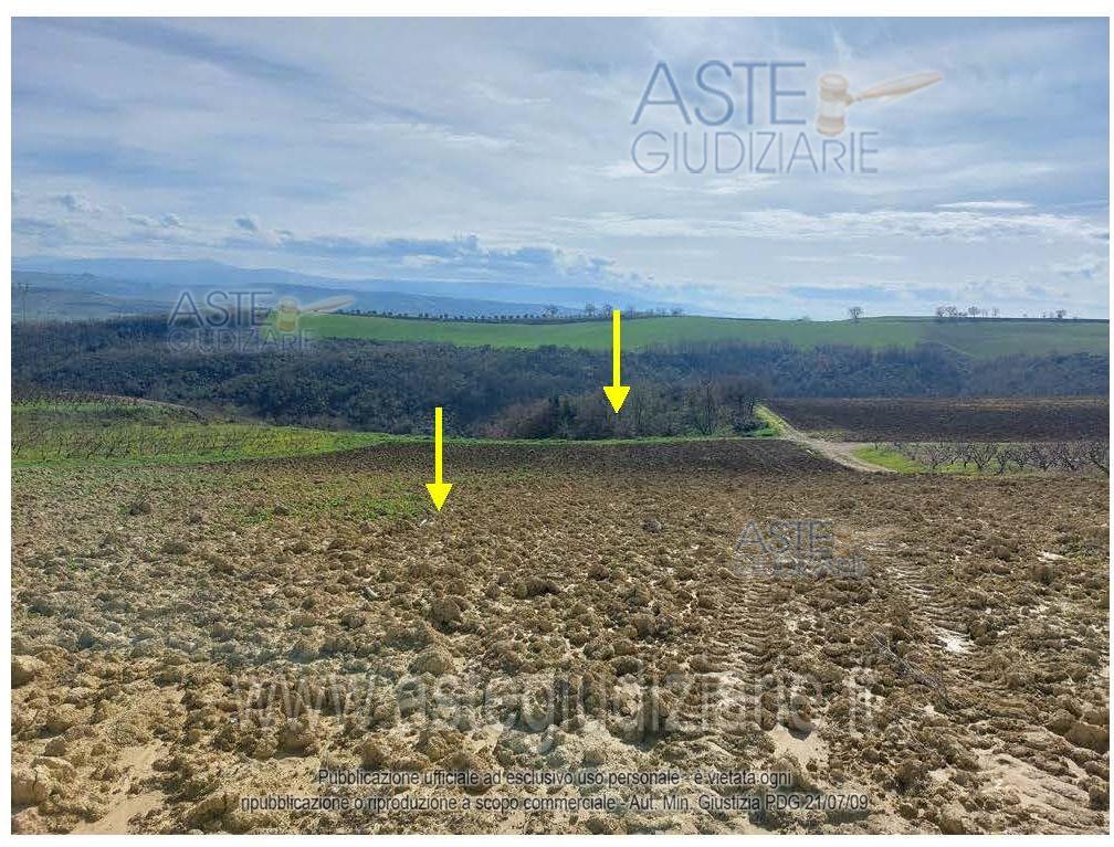 Foto del lotto: Altra categoria a Altomonte
