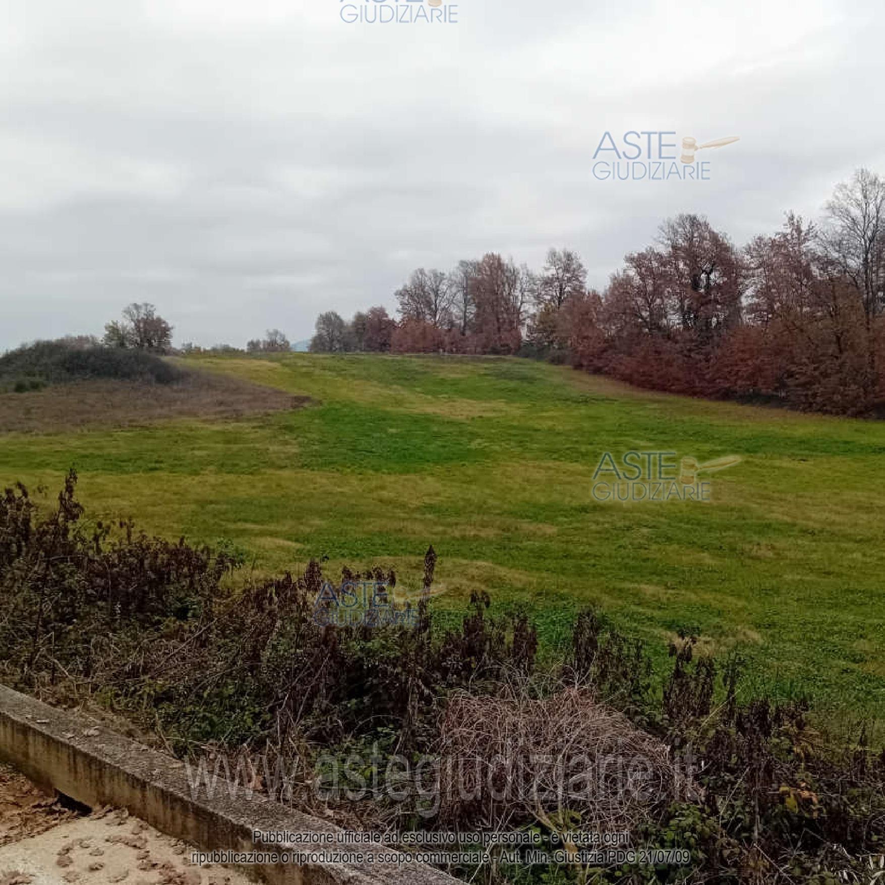 Foto del lotto: Altra categoria a Alatri