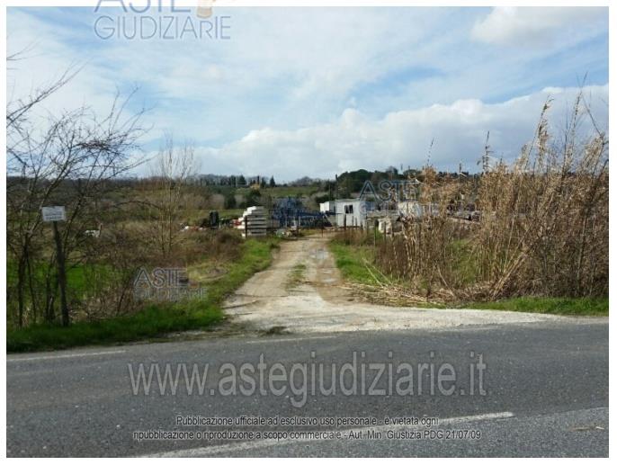 Foto: Altra categoria a Collesalvetti (LI)