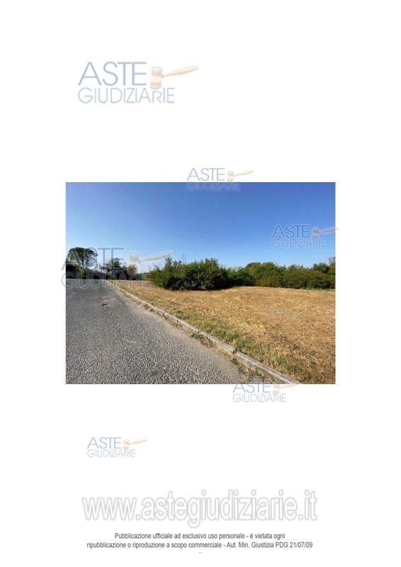 Foto: Altra categoria a Collesalvetti (LI)