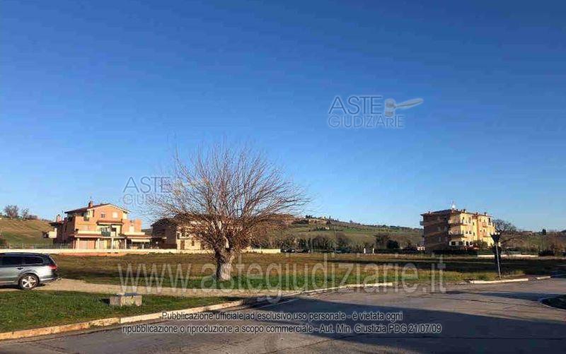 Photo: Altra categoria in Pollenza (MC)