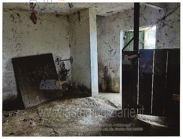 Photo: Altra categoria in Montese (MO)