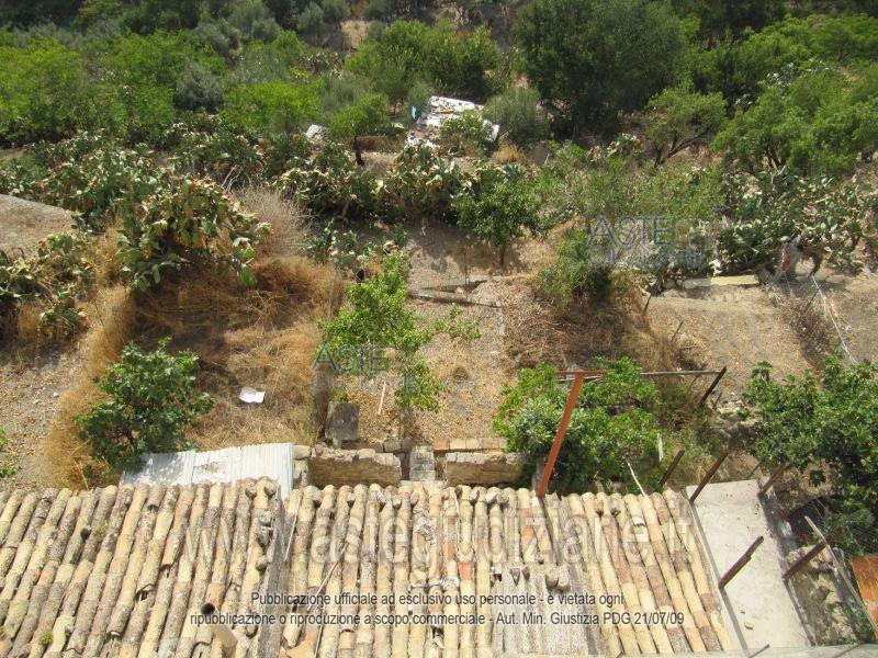 Foto: Altra categoria a Regalbuto (EN)