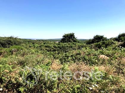 Foto: Altra categoria a Santu Lussurgiu (OR)
