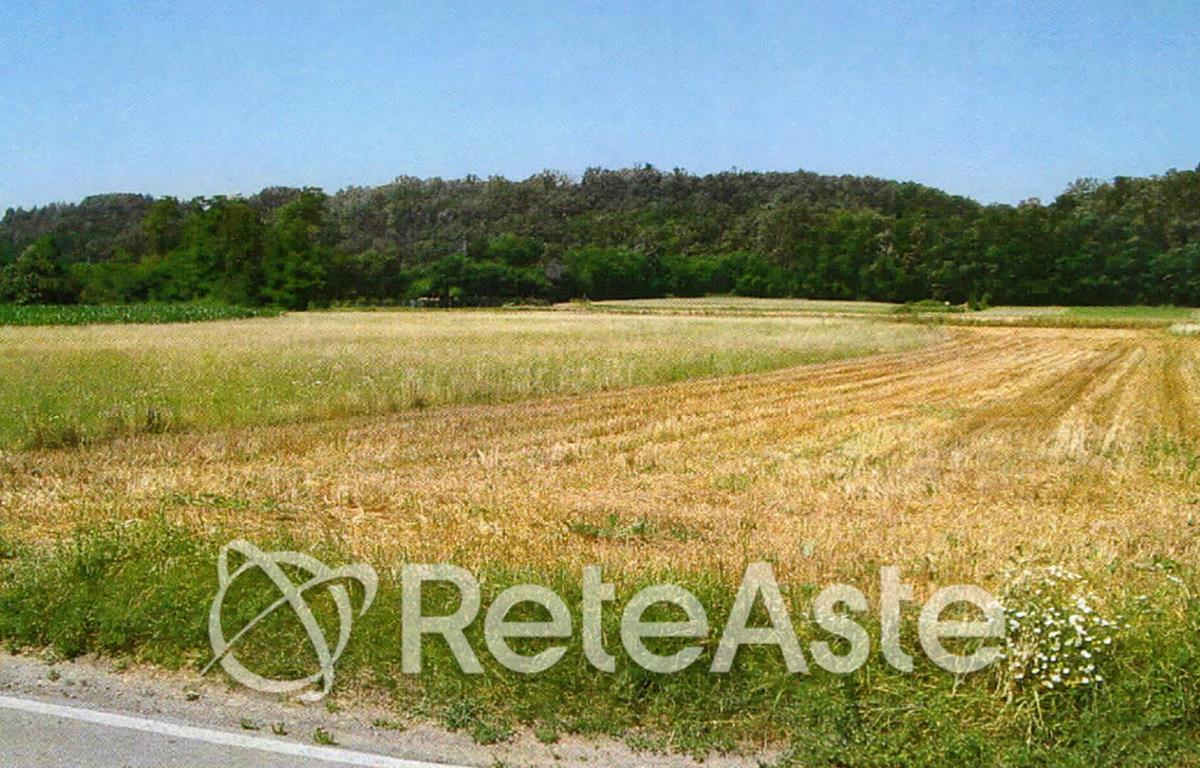 Foto del lotto: Altra categoria a Castiglione Olona