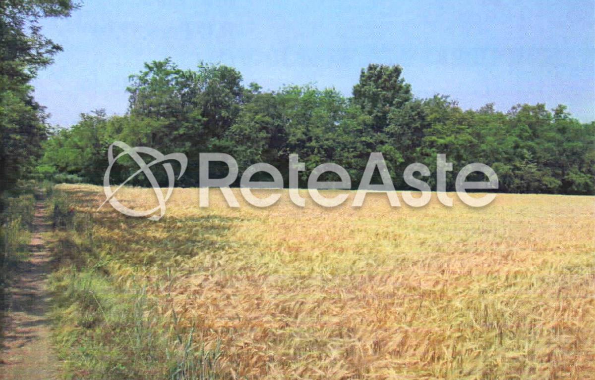 Foto del lotto: Altra categoria a Robecco sul Naviglio
