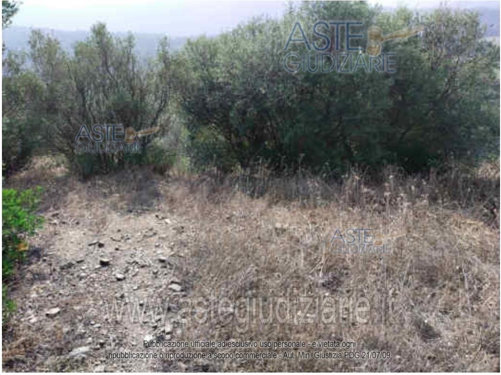 Foto: Altra categoria a Loiri Porto San Paolo (OT)