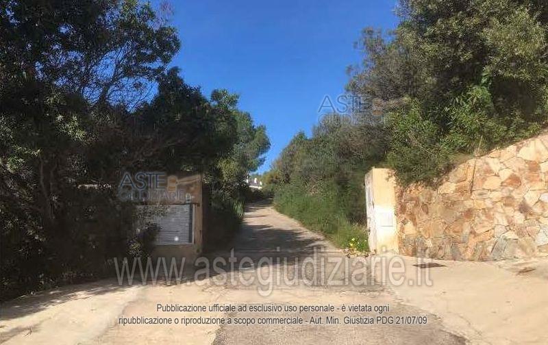 Foto: Altra categoria a Arzachena (OT)