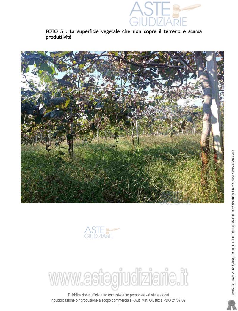 Foto: Altra categoria a Rizziconi (RC)