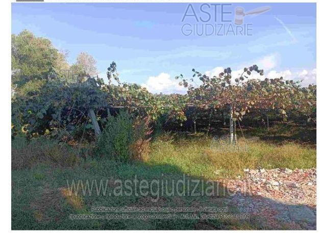 Foto: Altra categoria a Rizziconi (RC)