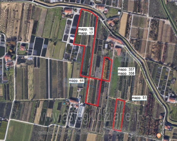 Foto: Altra categoria a Pistoia (PT)