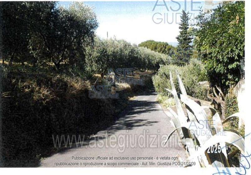 Foto: Altra categoria a Lamporecchio (PT)