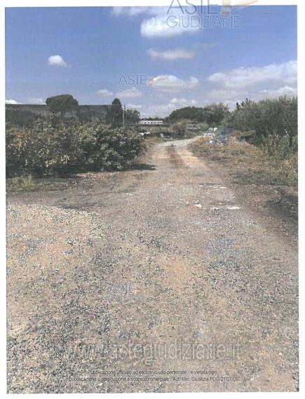 Foto: Altra categoria a Pescia (PT)
