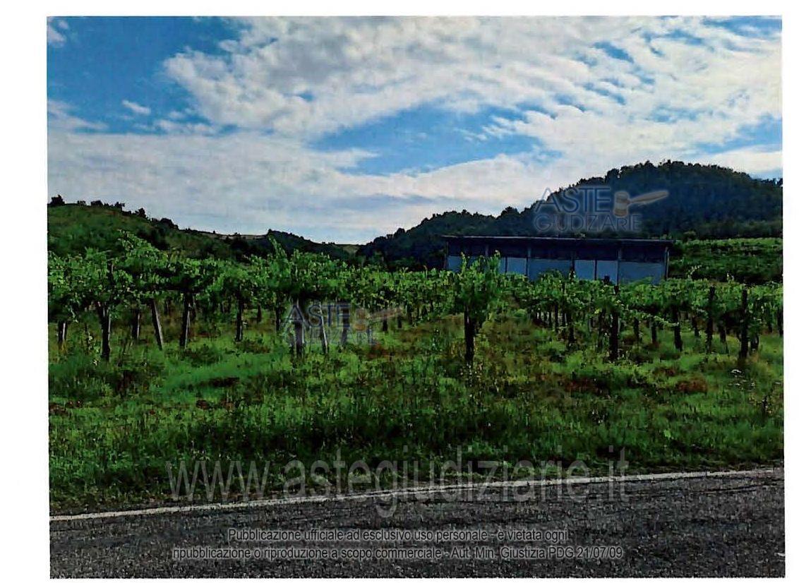 Foto del lotto: Altra categoria a Borgoratto Mormorolo