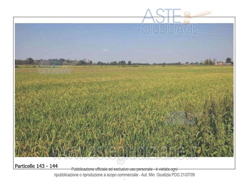 Foto del lotto: Altra categoria a Ozzero
