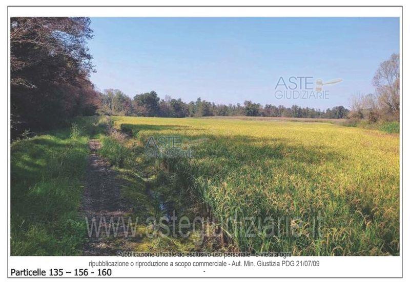 Foto del lotto: Altra categoria a Ozzero