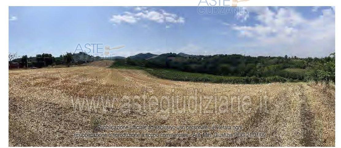 Foto: Altra categoria a Codevilla (PV)