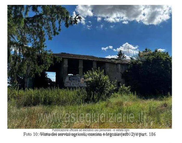 Photo: Altra categoria in Massa Lombarda (RA)
