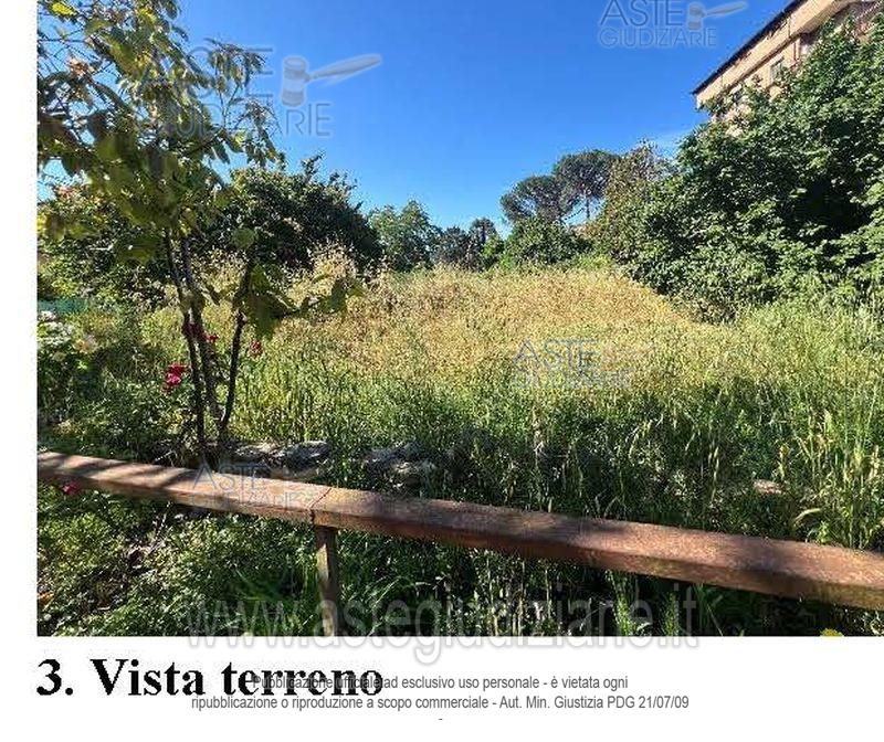 Foto: Altra categoria a Roma (RM)