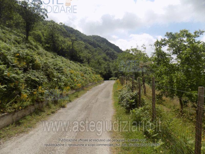 Foto: Altra categoria a Giffoni Valle Piana (SA)