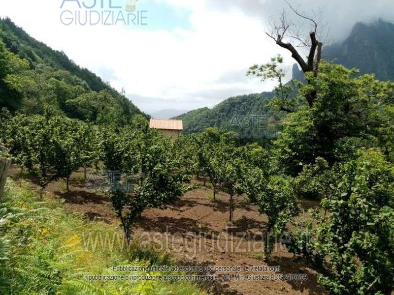Foto: Altra categoria a Giffoni Valle Piana (SA)