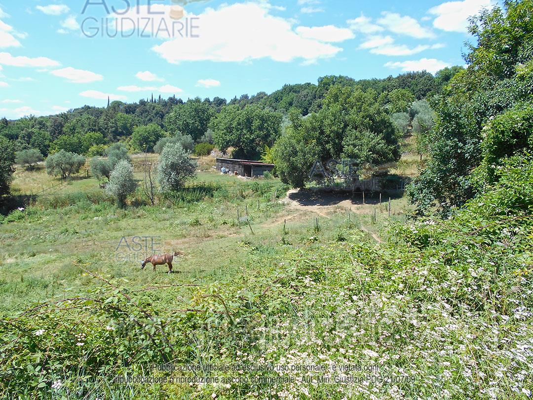 Foto: Altra categoria a Siena (SI)