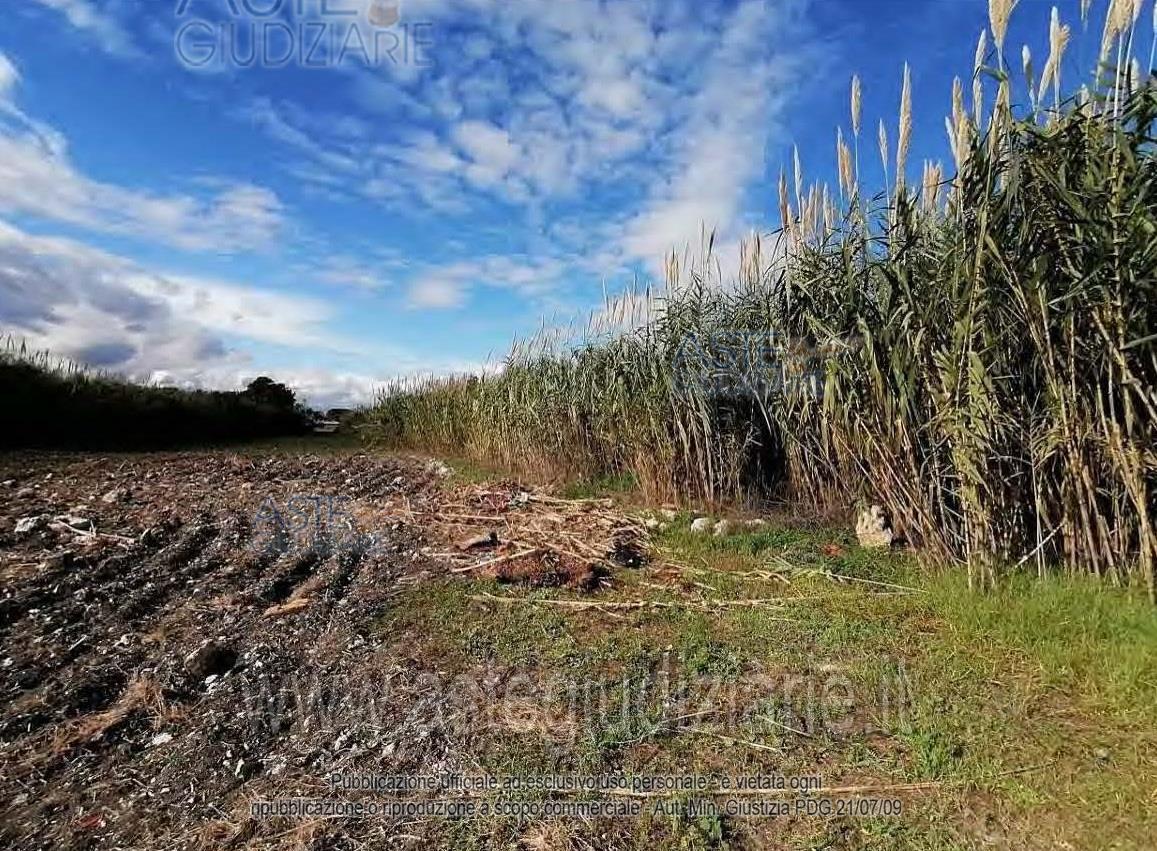 Photo: Altra categoria in Siracusa (SR)
