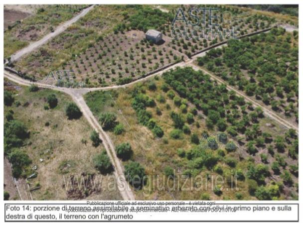 Photo: Altra categoria in Francofonte (SR)