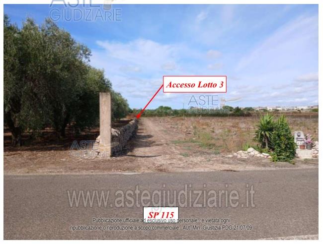 Foto: Altra categoria a Lizzano (TA)