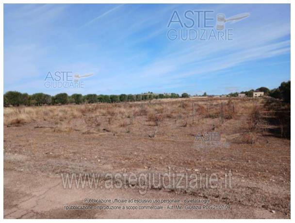 Foto: Altra categoria a Lizzano (TA)