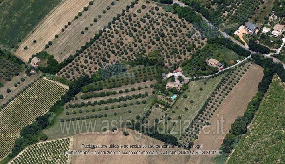 Foto del lotto: Altra categoria a Martinsicuro