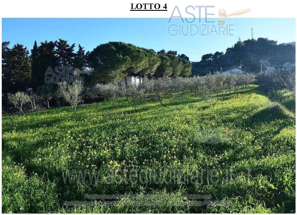 Foto: Altra categoria a Buseto Palizzolo (TP)