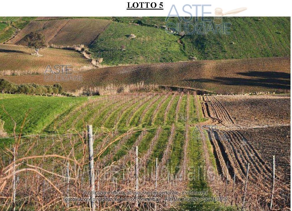 Foto: Altra categoria a Buseto Palizzolo (TP)