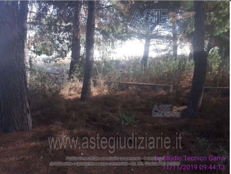 Photo: Altra categoria in Bisceglie (BT)