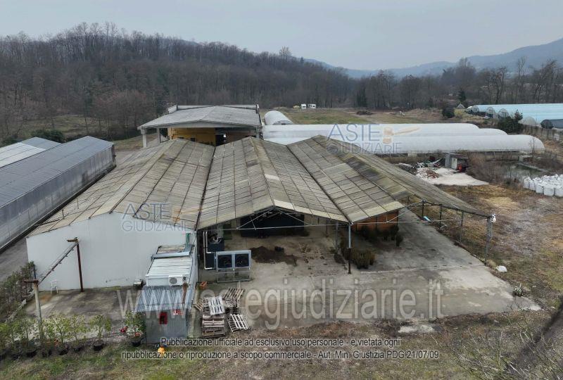 Photo of the lot: Altra categoria in Nebbiuno