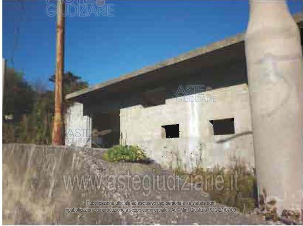 Foto: Altra categoria a San Calogero (VV)