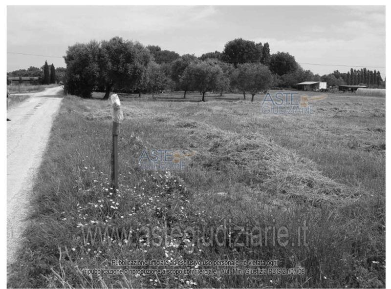 Foto: Altra categoria a Sant'Elpidio a Mare (FM)
