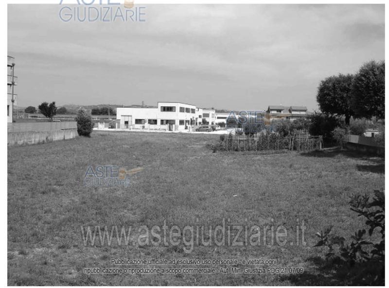 Foto: Altra categoria a Sant'Elpidio a Mare (FM)
